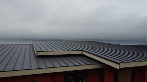 Best Roof Waterproofing  in Mequon, WI